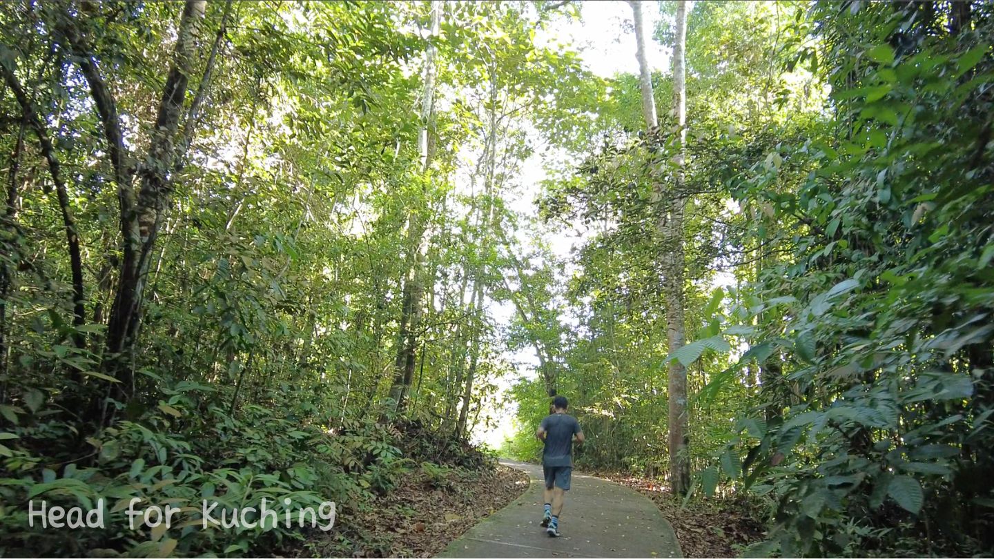 Sama Jaya Forest Park Green