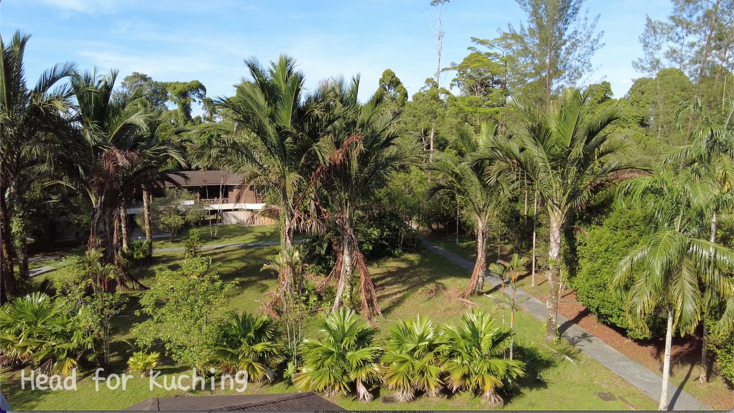 Sama Jaya Forest Park