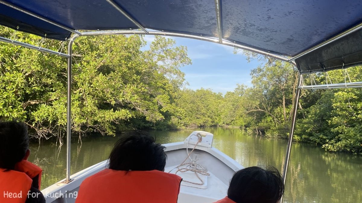Wetland River Cruise