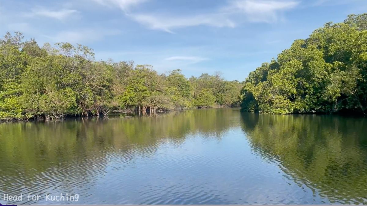 wetland river cruise