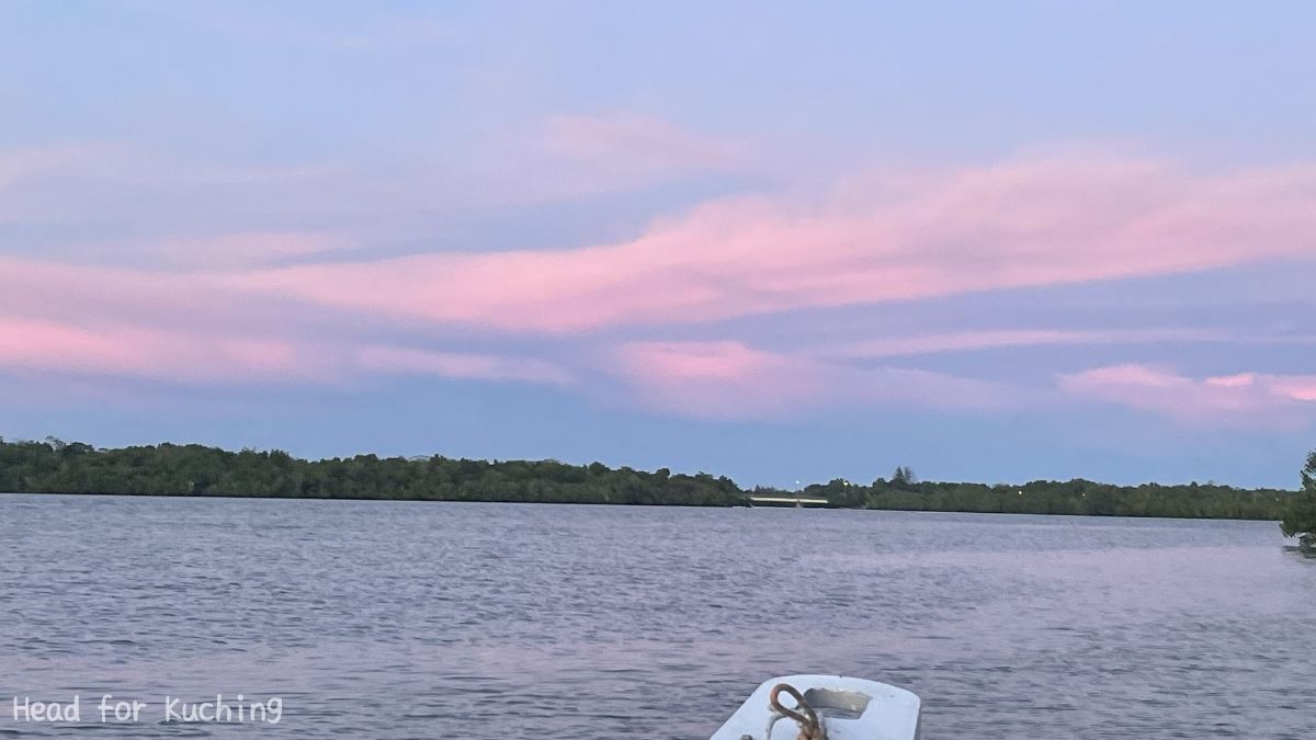 Wetland River Cruise
